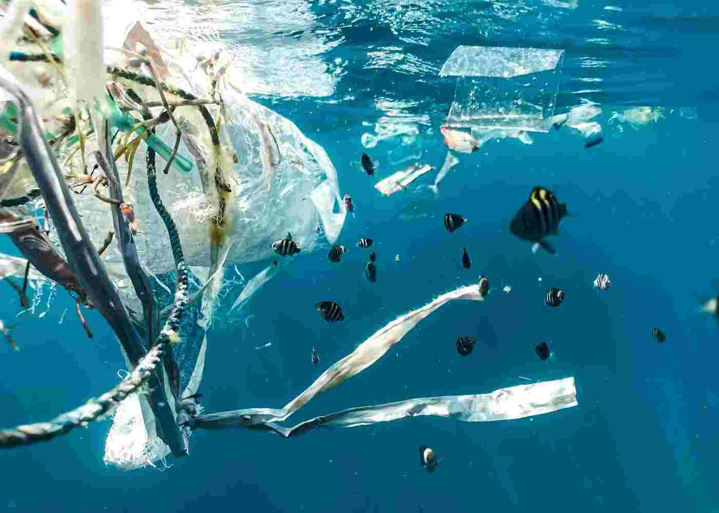 Revolutionising Waste Management in Australia