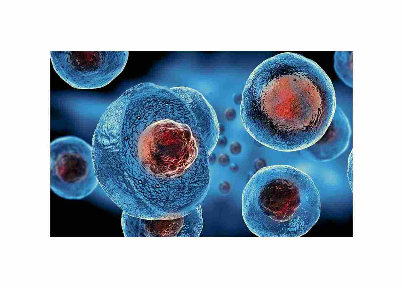 Revolutionizing Healthcare with Stem Cell Therapy