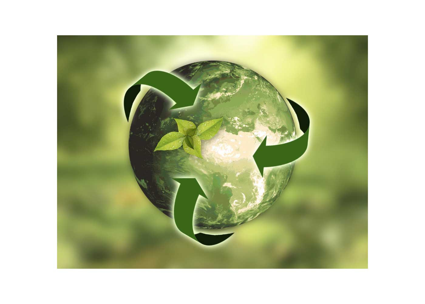 Role of Sustainability in the Global Marketplace