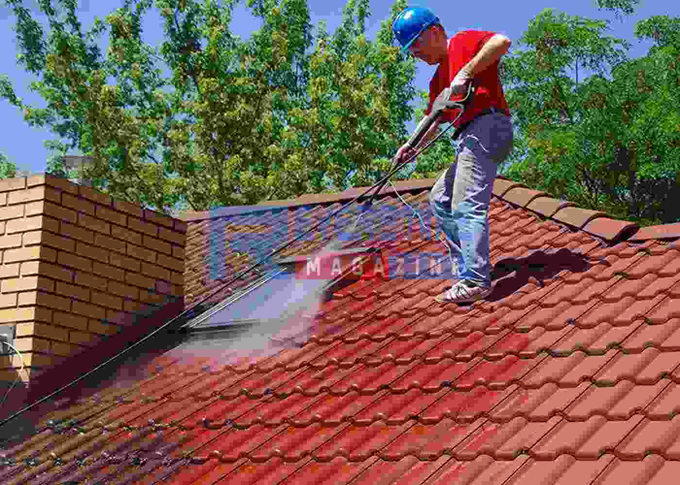 Roof Cleaning for All Seasons: Tips for Year-Round Maintenance