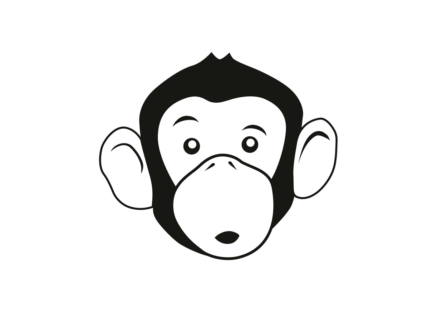 Interesting Facts about Stonk O Tracker