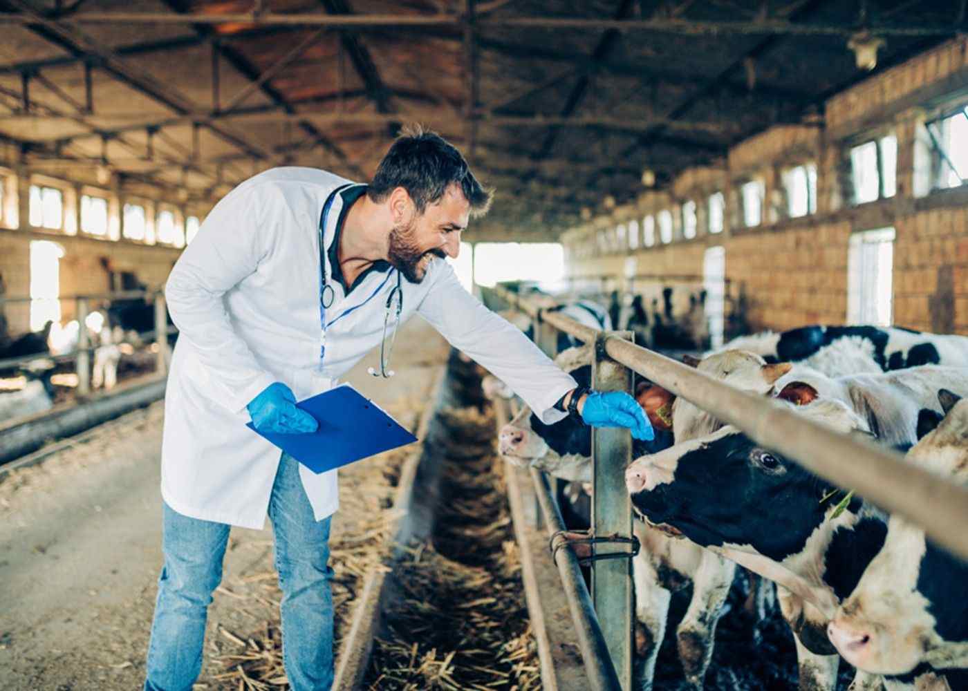 Tackling Livestock Health Challenges with Preventative Measures 