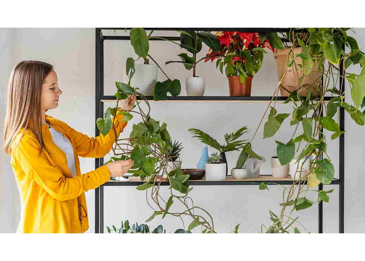 The Benefits of Indoor Gardening: Health, Beauty, and Beyond