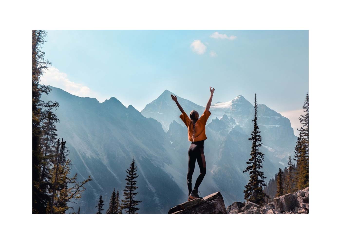 The Healing Wonders of Red Pine Oil