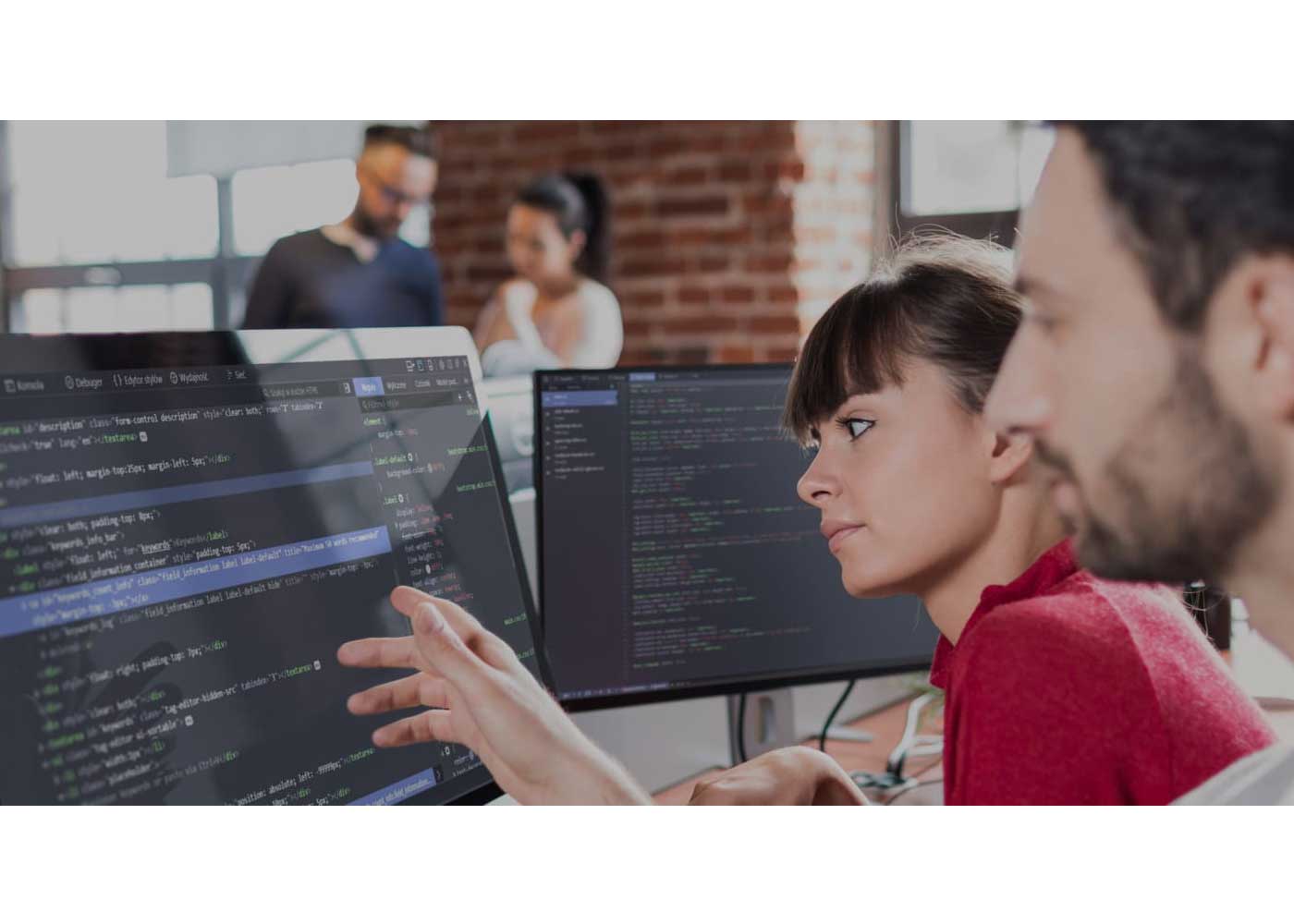 The Power of Custom Software Development