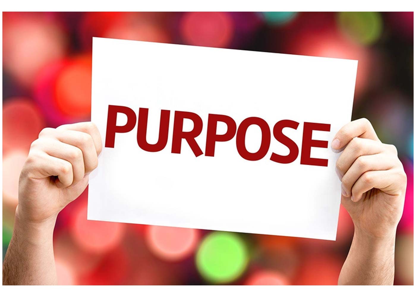 The Power of Purpose-Driven Brands in Business Sustainability and Success