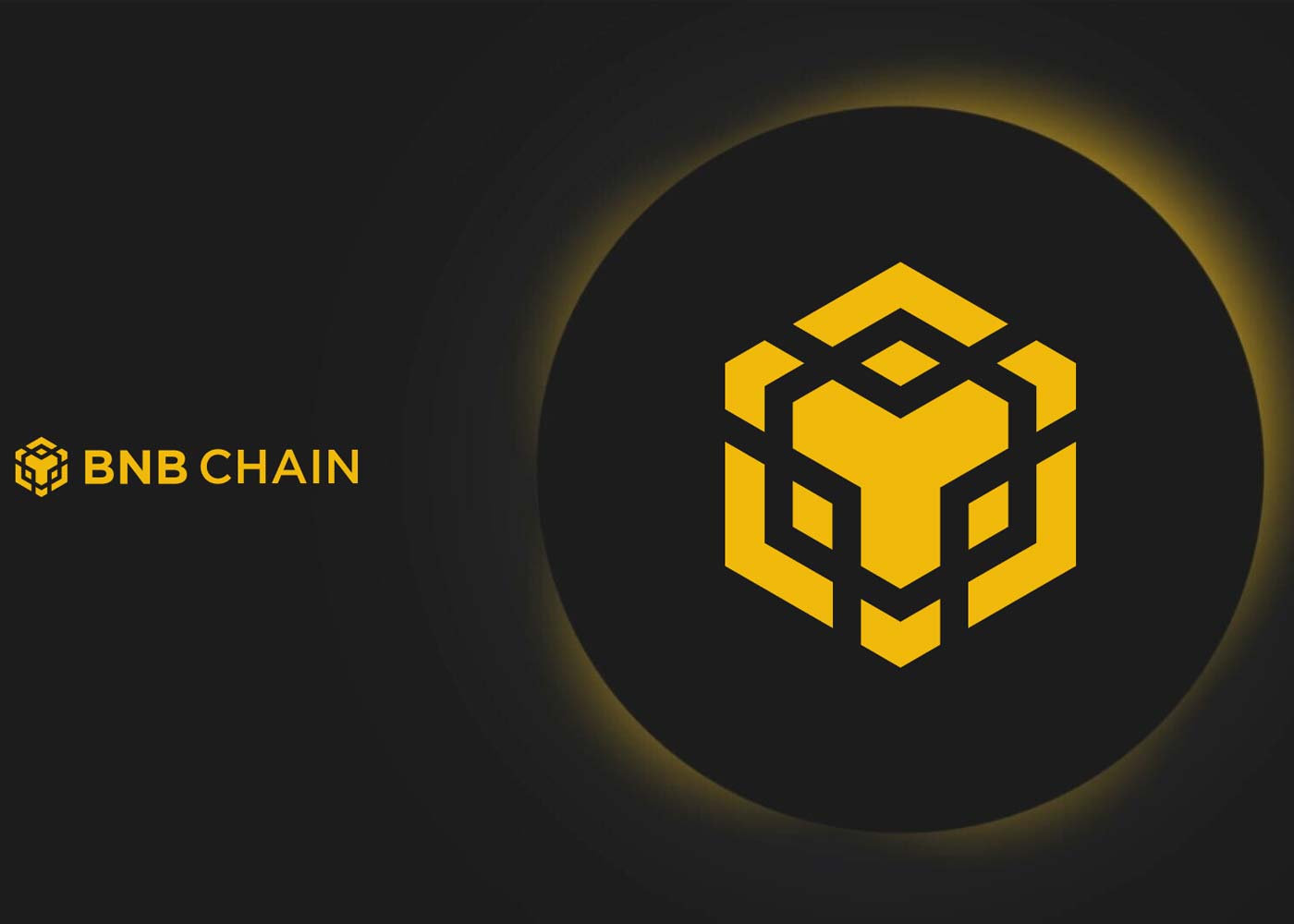 The Rise of BNB Bridge: Connecting the Worlds of Crypto