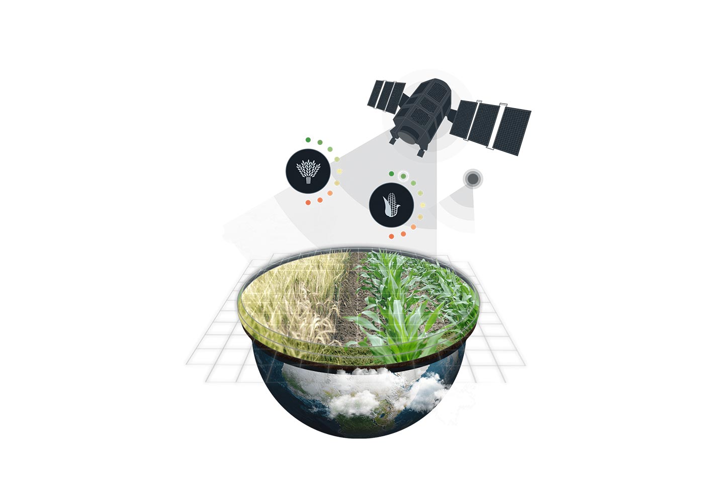 The Role of Remote Sensing and Satellite Technology in Crop Yield Prediction