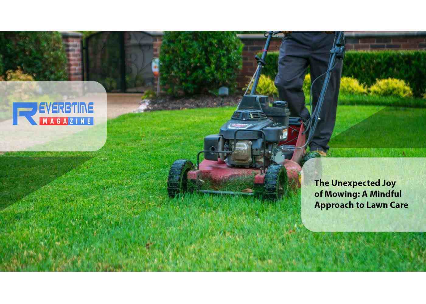 The Unexpected Joy of Mowing: A Mindful Approach to Lawn Care