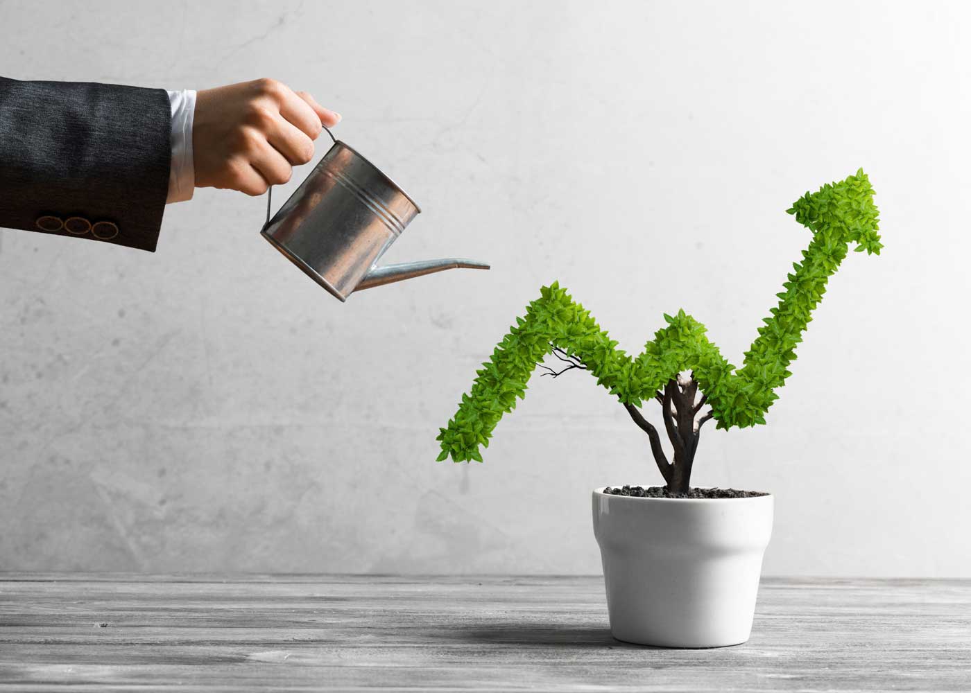 Grow Your Own: Tips for Cultivating Employee Development