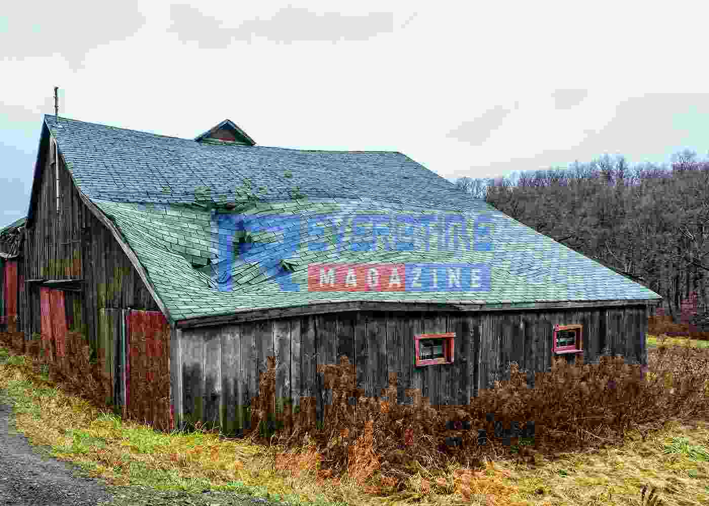 Top 5 Signs Your Roof is damaged
