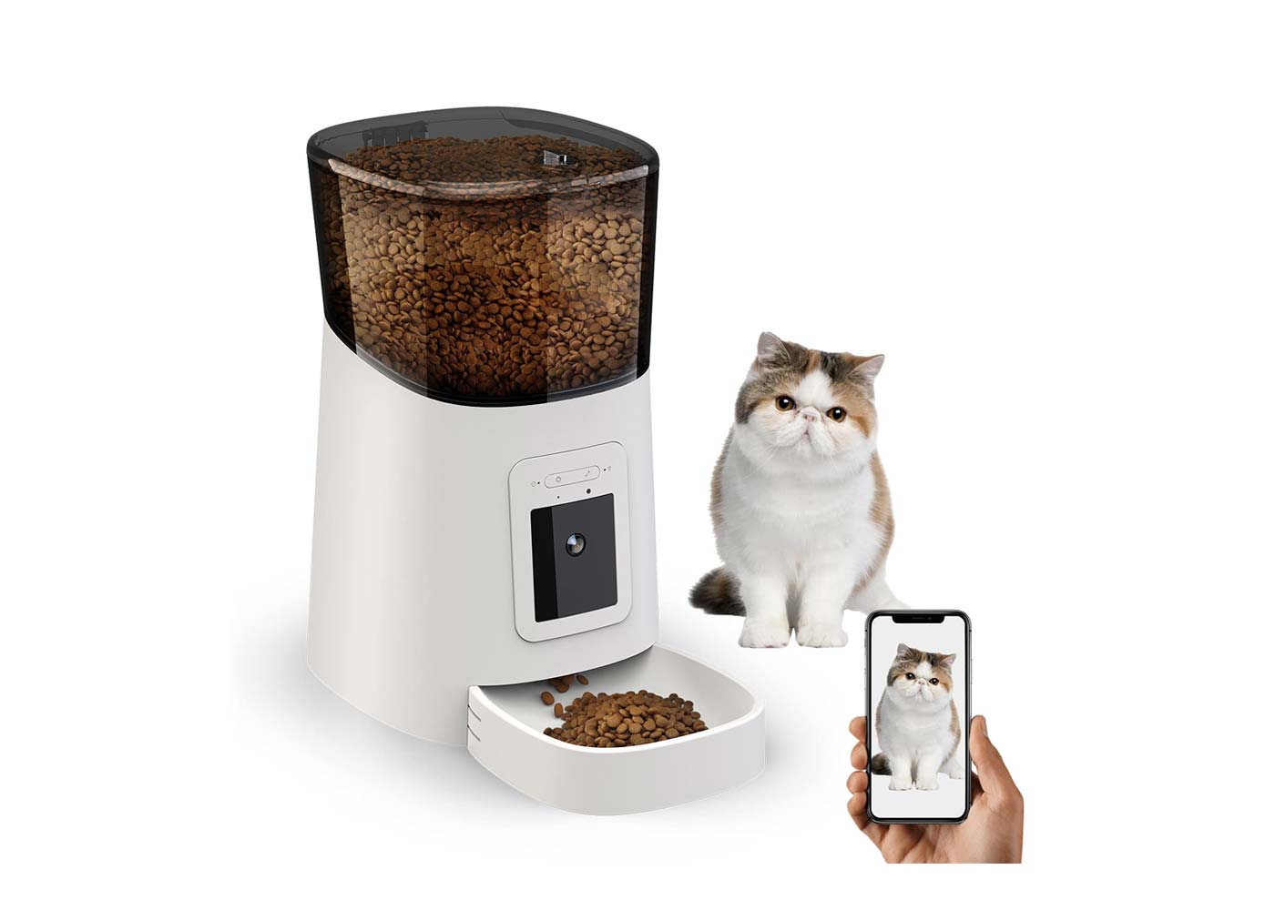 Your Cat's Next Best Friend: Top-Rated Automatic Feeders