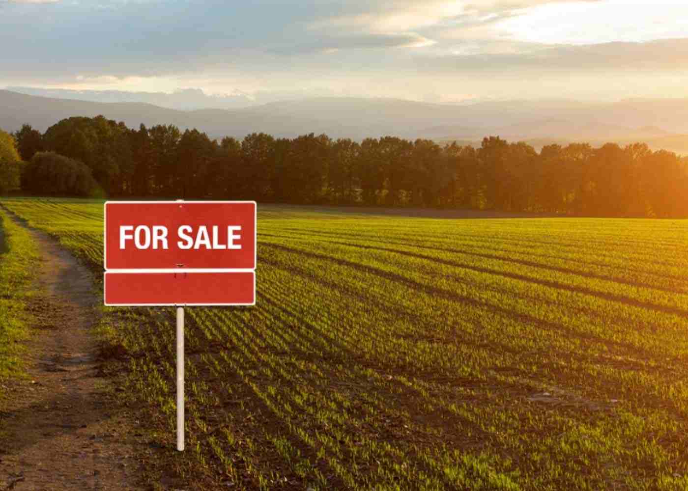 Top Reasons to Invest In a Land 