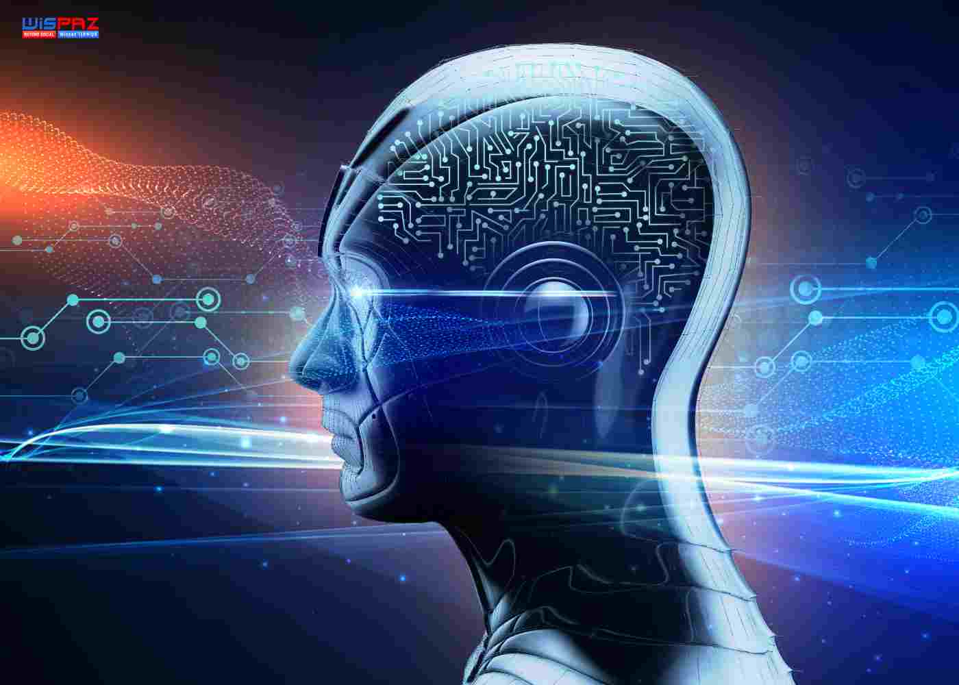 Trend Following Trading Bots