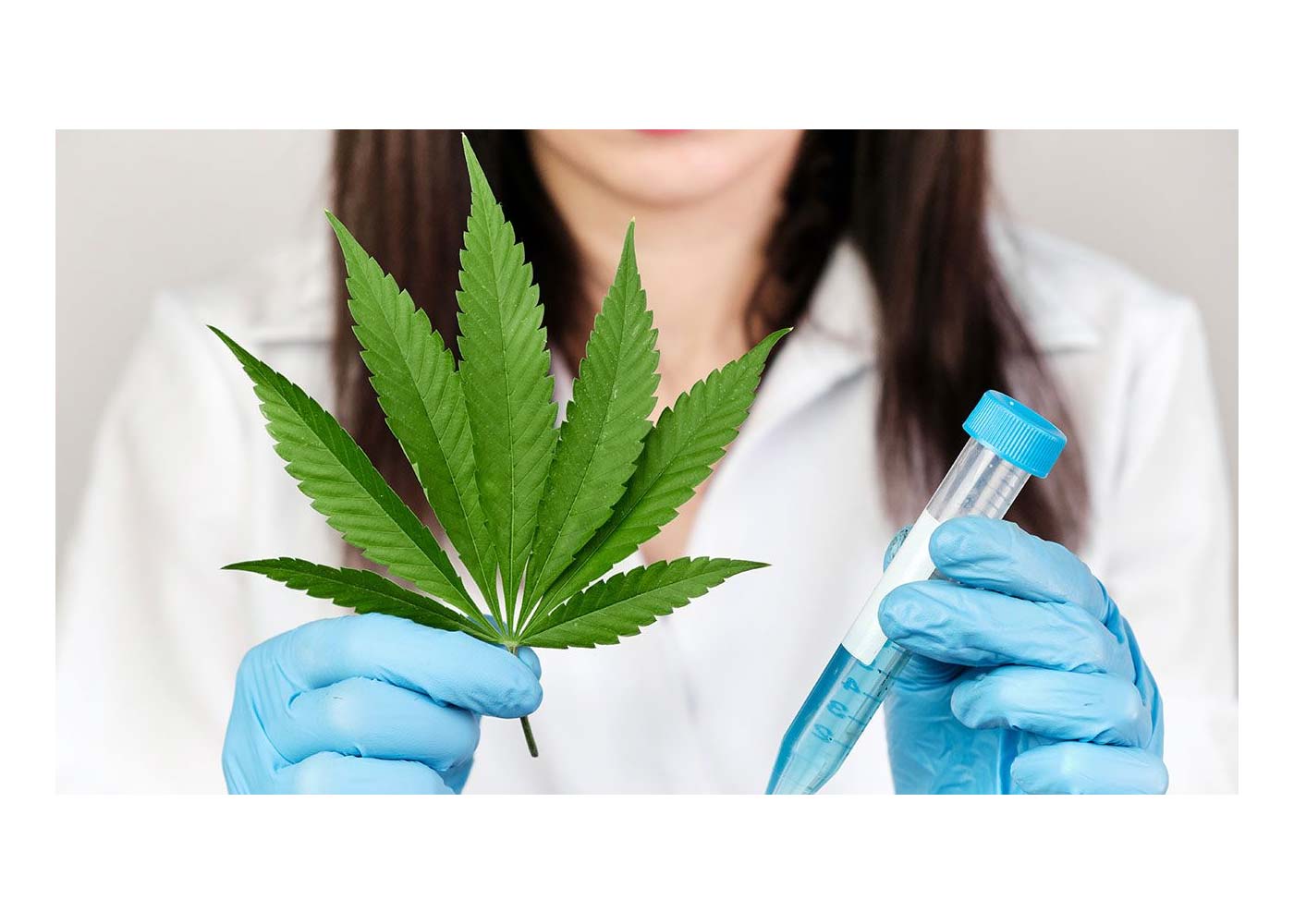 From Flower to Concentrate: Understanding the Medicinal Value of Cannabis Extraction