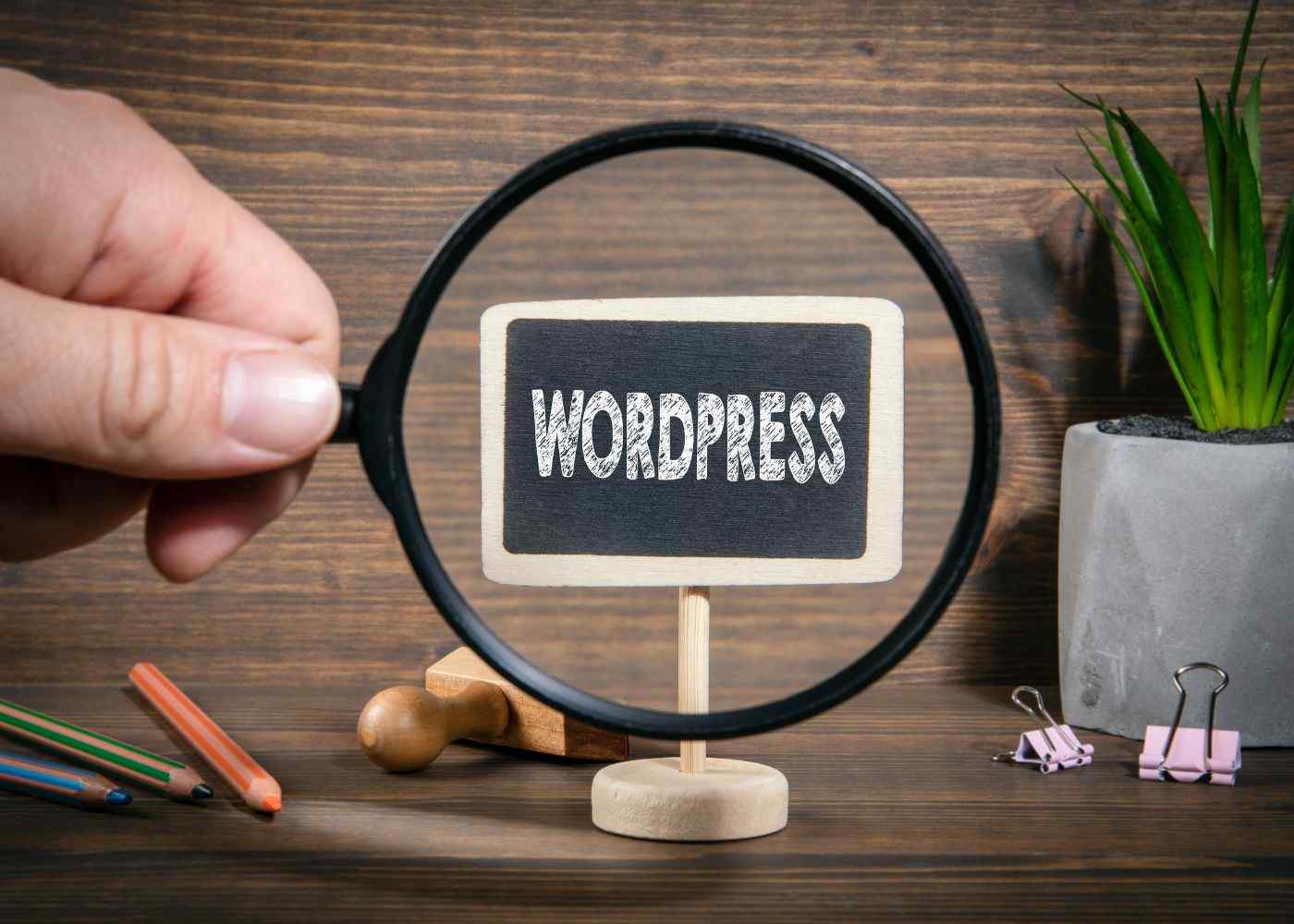 Unlocking Efficiency: A Guide to Outsourcing WordPress Development Tasks Offshore