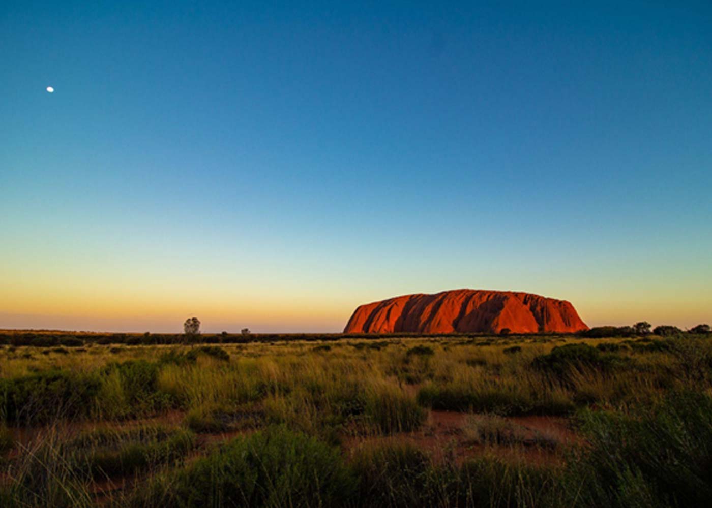 From the Outback to the Coast: Unraveling the Allure of Australia's Diverse Landscapes