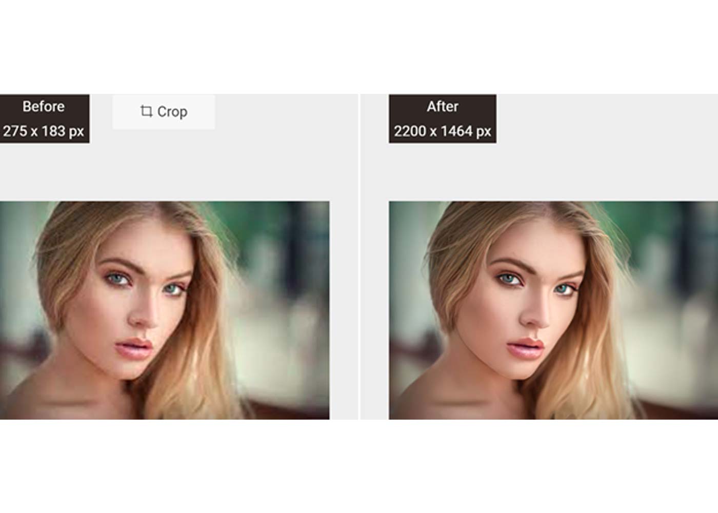 VanceAI Software Review: Make Photo Editing an Easy Thing