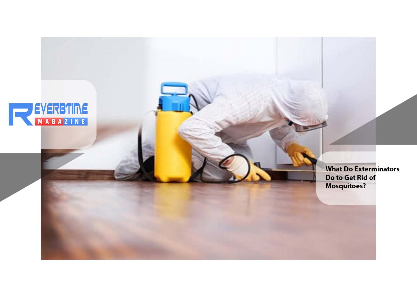 What Do Exterminators Do to Get Rid of Mosquitoes?