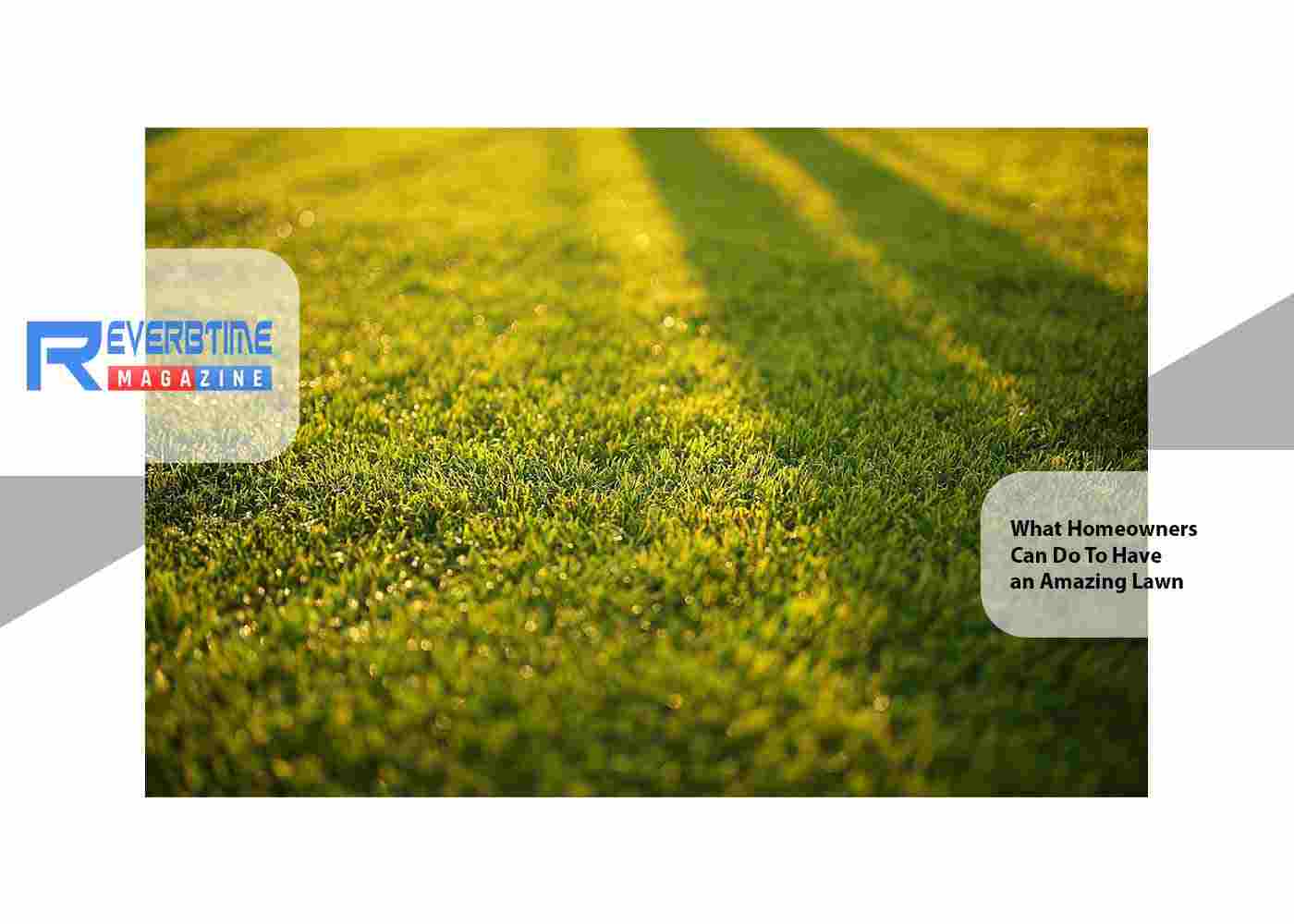 What Homeowners Can Do To Have an Amazing Lawn