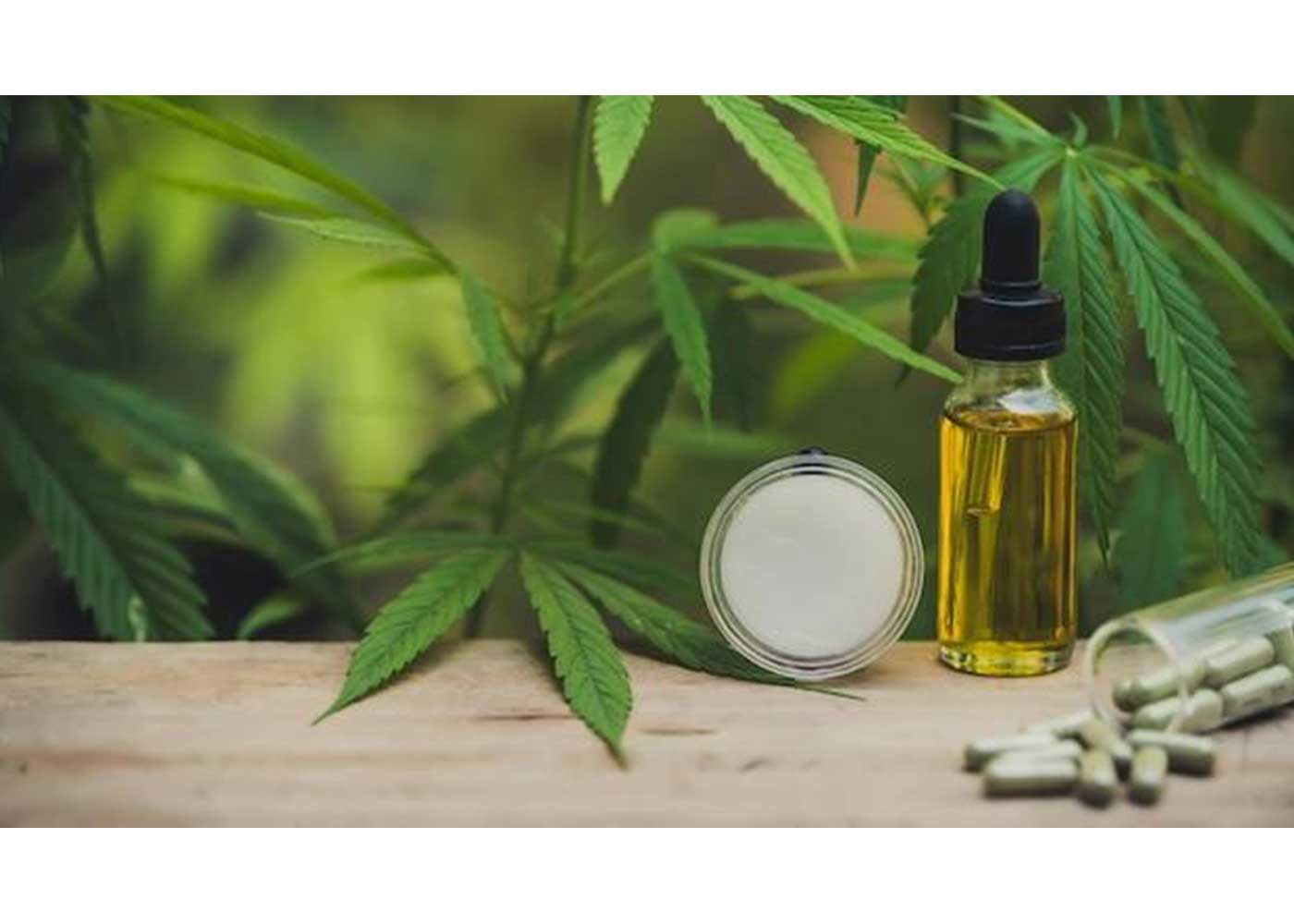 What is considered a High Level of CBD Capsules?
