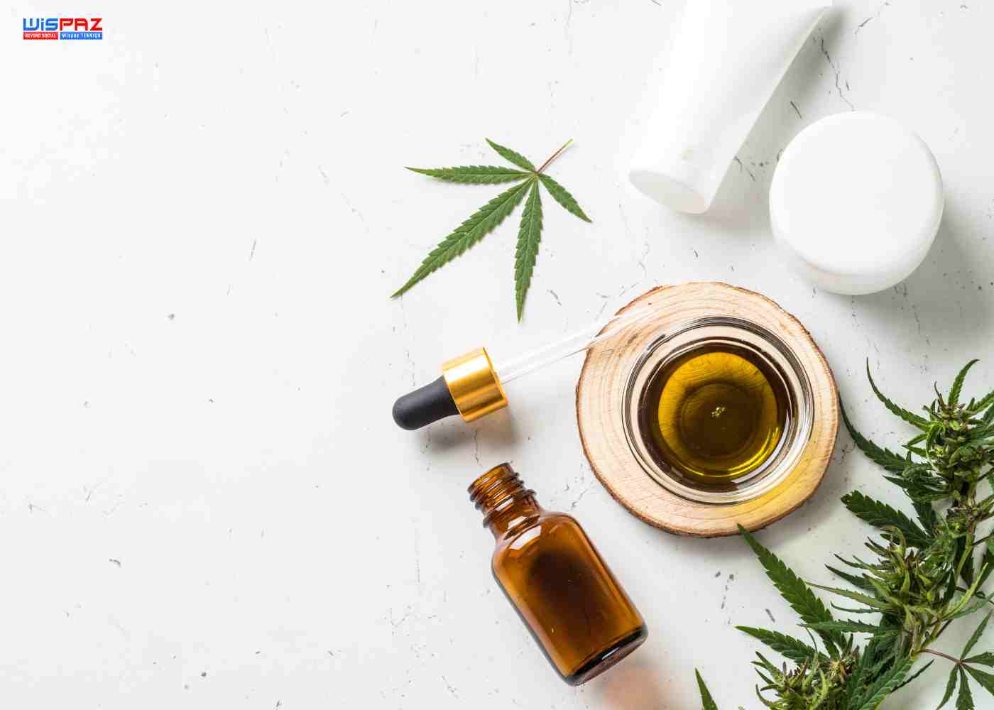 Why CBD in Skincare: The Benefits of Cannabidiol in Your Daily Routine