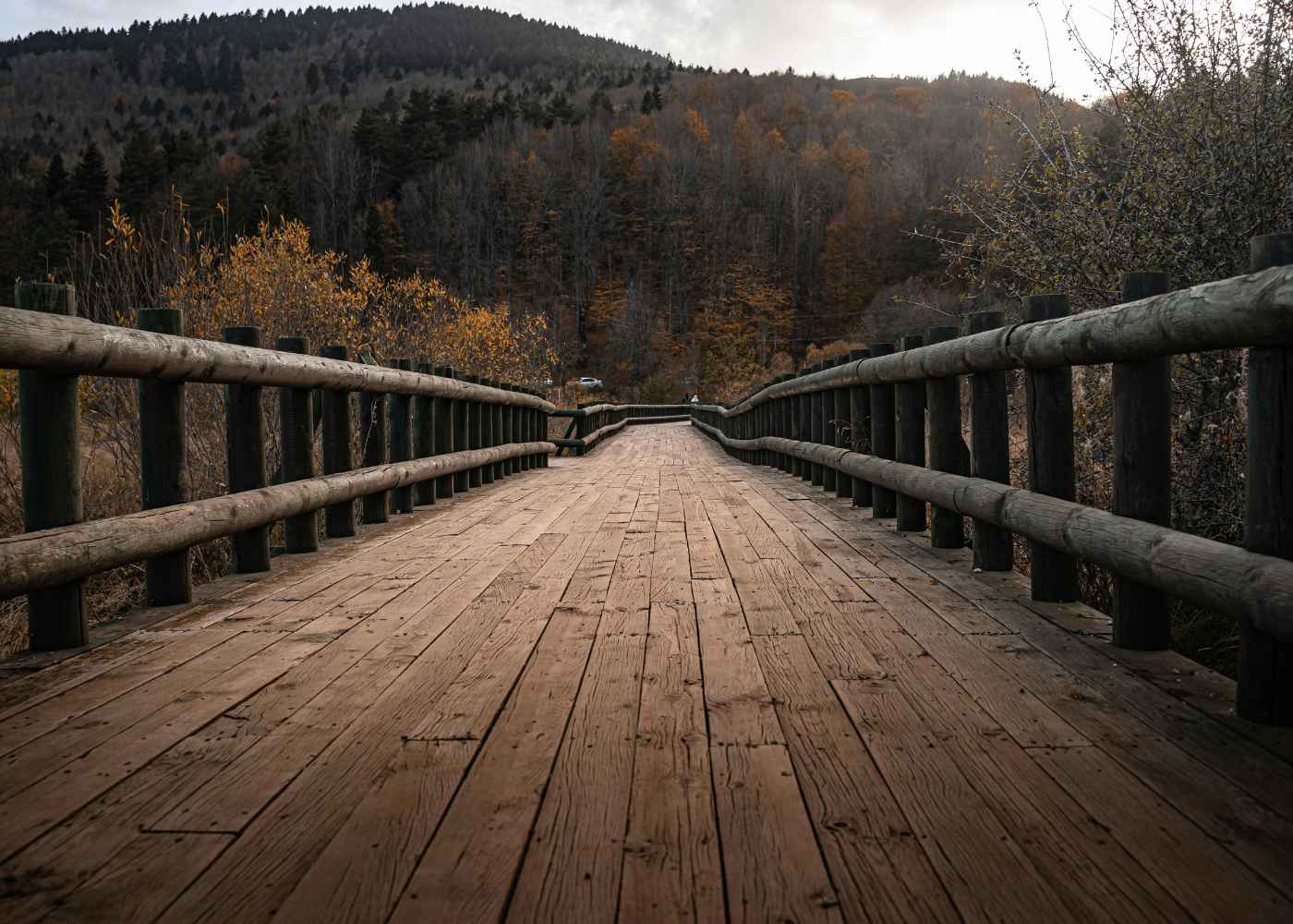 Why Timber Bridge Construction Demands Experienced Specialists