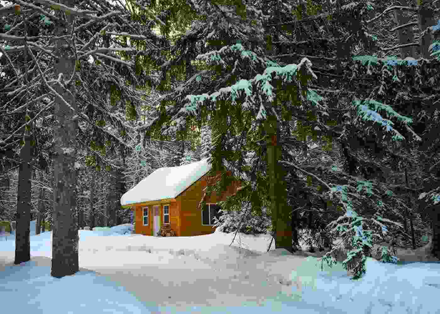 Why You Need to Rent a Cabin for Your Next Christmas Vacation