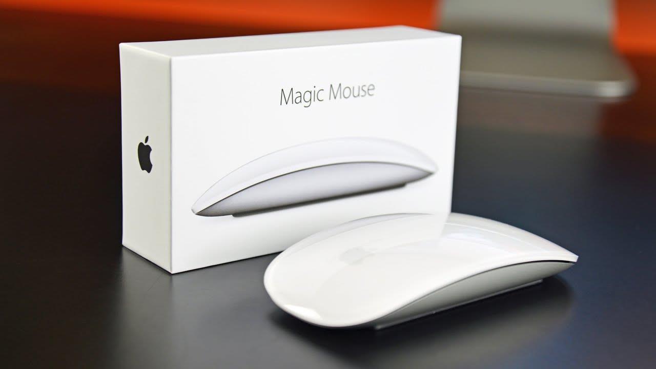 Best Mouse Brands